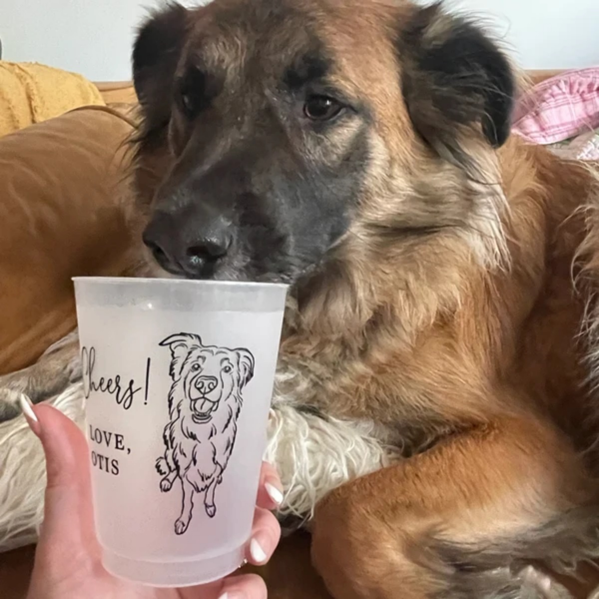 10/50 Custom Dog Cat Pet Portr - Plastic Cup 50Pcs ulasan dan harga